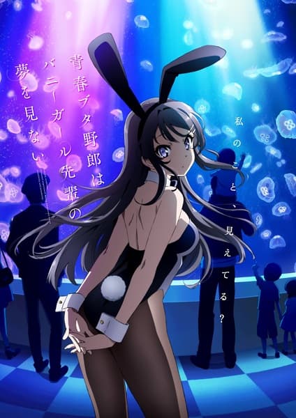 rascal does not dream of Burny girl senpai